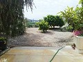 Preciosa Villa en Ricabacica, Abanilla + olivar en Partidor in Inland Villas Spain