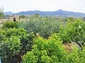 Mooie villa in Ricabacica, Abanilla + olijfgaard in Partidor in Inland Villas Spain