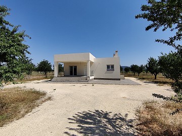 New Builds in Pinoso