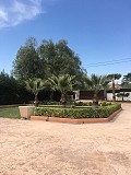 Hochwertige Villa in Laufnähe zu Novelda in Inland Villas Spain