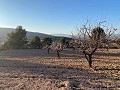 Plot of land with stunning views  in Inland Villas Spain
