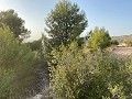 Grundstück mit atemberaubender Aussicht in Inland Villas Spain