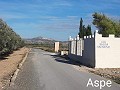 Schöne Öko-Villa in Aspe in Inland Villas Spain