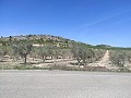 Fantastique terrain à bâtir à Salinas in Inland Villas Spain