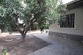 Detached Villa with a pool in Elche in Inland Villas Spain
