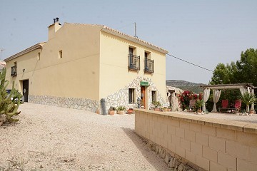 Old finca completely renovated with swimming pool and original bodega