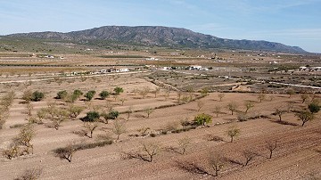 Terreno en Alicante, Pinoso