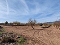 Land in Pinoso - Wiederverkauf in Inland Villas Spain