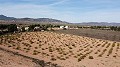 Land in Pinoso - Wiederverkauf in Inland Villas Spain
