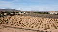 Building plot of land only for new build, in Paredon, Pinoso in Inland Villas Spain