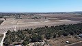 Non building plot of land in Elche with palm trees in Inland Villas Spain