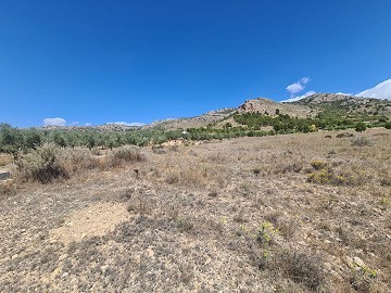 16,200m2 of land in Sax - Santa Eulalia