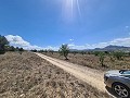 16,200m2 of land in Sax - Santa Eulalia in Inland Villas Spain