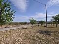 Legal Building Plot with mains water and electric in Salinas close to Sax in Inland Villas Spain