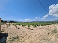 2 Parcels in Salinas with water and electricity in Inland Villas Spain