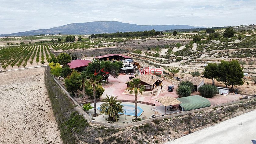 Amazing villa in Pinoso  in Inland Villas Spain