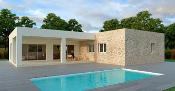 New build modern villa 
