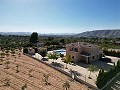 Grande maison exécutive de 5 chambres avec piscine 10x5 in Inland Villas Spain