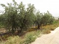 Plot of Land near Alenda Golf  in Inland Villas Spain