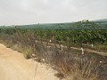 Plot of Land near Alenda Golf  in Inland Villas Spain