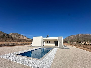 Stunning new build villa in El Canton 