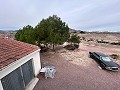 2 casas de campo en novelda in Inland Villas Spain