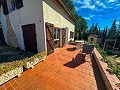 Lovely country home in Sax in Inland Villas Spain