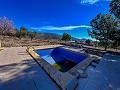 Mooi landhuis met zwembad in Monóvar in Inland Villas Spain