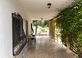 Villa de 3 habitaciones y 1 baño en excelente ubicación con piscina y casa de huéspedes de 2 pisos en Sax in Inland Villas Spain