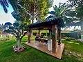 Magnificent luxury mansion in Elda  in Inland Villas Spain