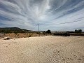 Beautiful plot in perfect condition in Yecla in Inland Villas Spain