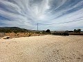 Beautiful plot in perfect condition in Yecla in Inland Villas Spain