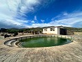 Riesige Villa mit 11 Schlafzimmern und Pool in Ontinyent in Inland Villas Spain