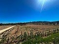 Terrain de 5000 mètres carrés avec des vues incroyables à Yecla in Inland Villas Spain