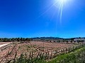 Perceel van 5000 vierkante meter met fantastisch uitzicht in Yecla in Inland Villas Spain