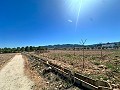 5000 Quadratmeter großes Grundstück mit unglaublicher Aussicht in Yecla in Inland Villas Spain