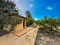 Preciosa villa con piscina y 5 habitaciones en Sax in Inland Villas Spain
