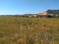 Plot of land in Aspe in Inland Villas Spain