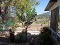 Partially Reformed 4 Bed 1 Bath Country House in Inland Villas Spain