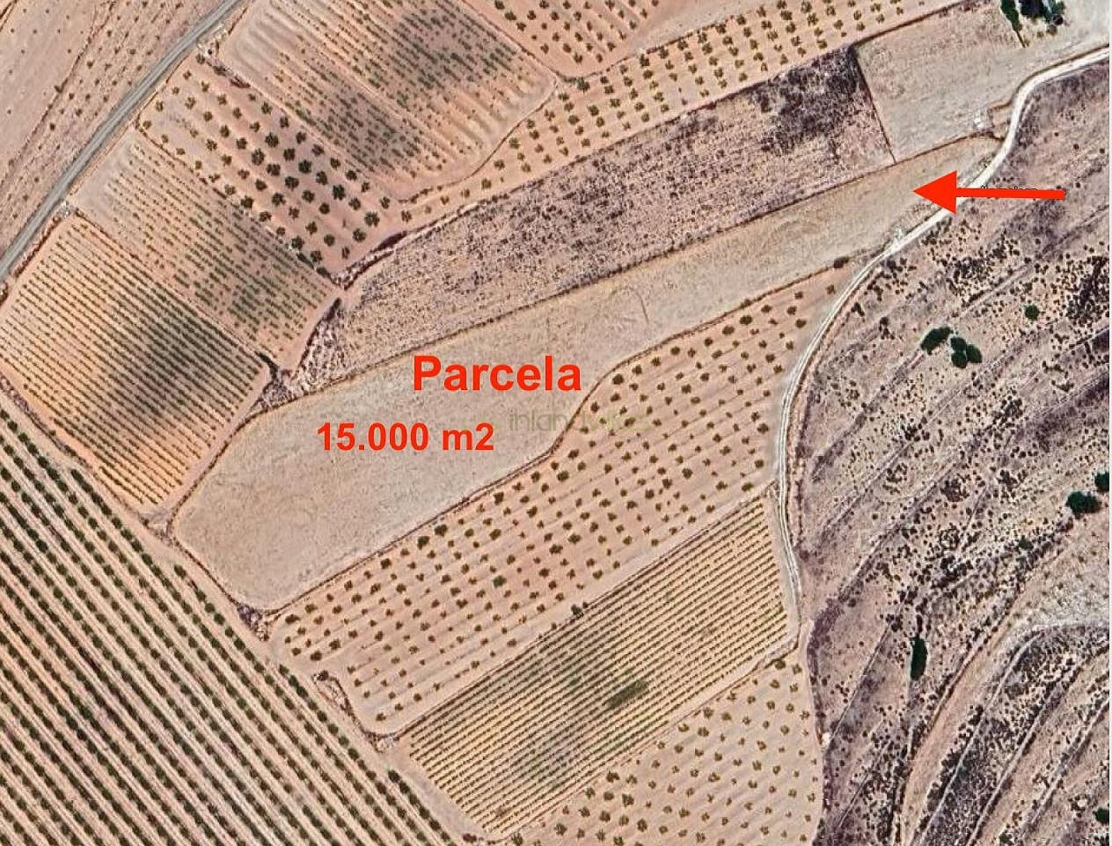 Land in Pinoso - Resale - Inland Villas Spain