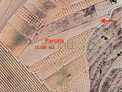Land in Pinoso