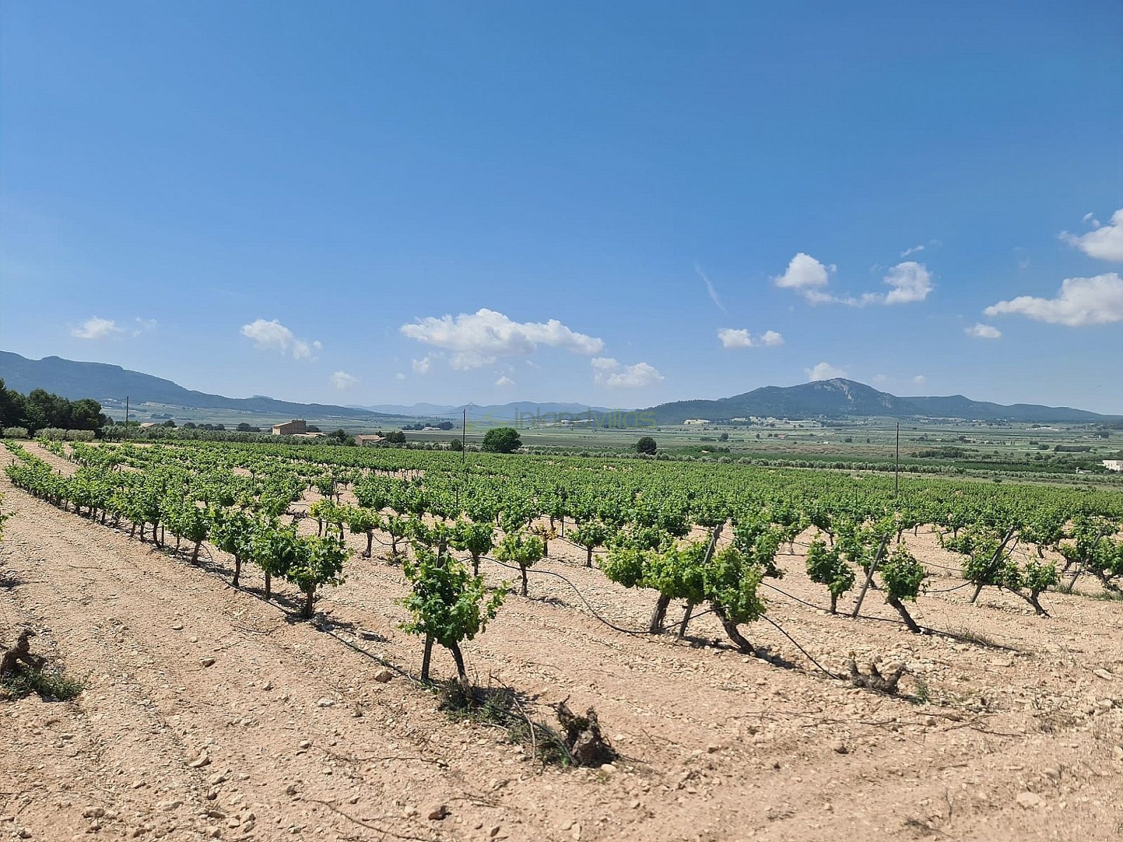 Land in Salinas - Resale - Inland Villas Spain