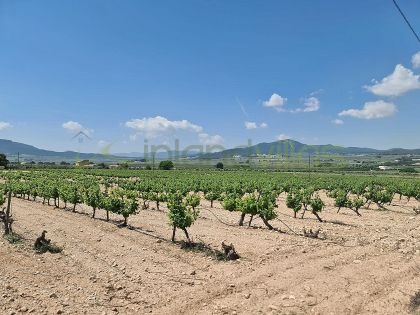 Land in Salinas - Resale - Inland Villas Spain