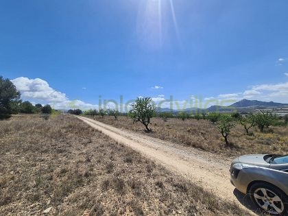 Land in Sax - Resale - Inland Villas Spain